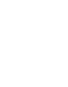 jungfrusunds icon light
